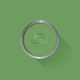 Raw Tomatillo No.CB6